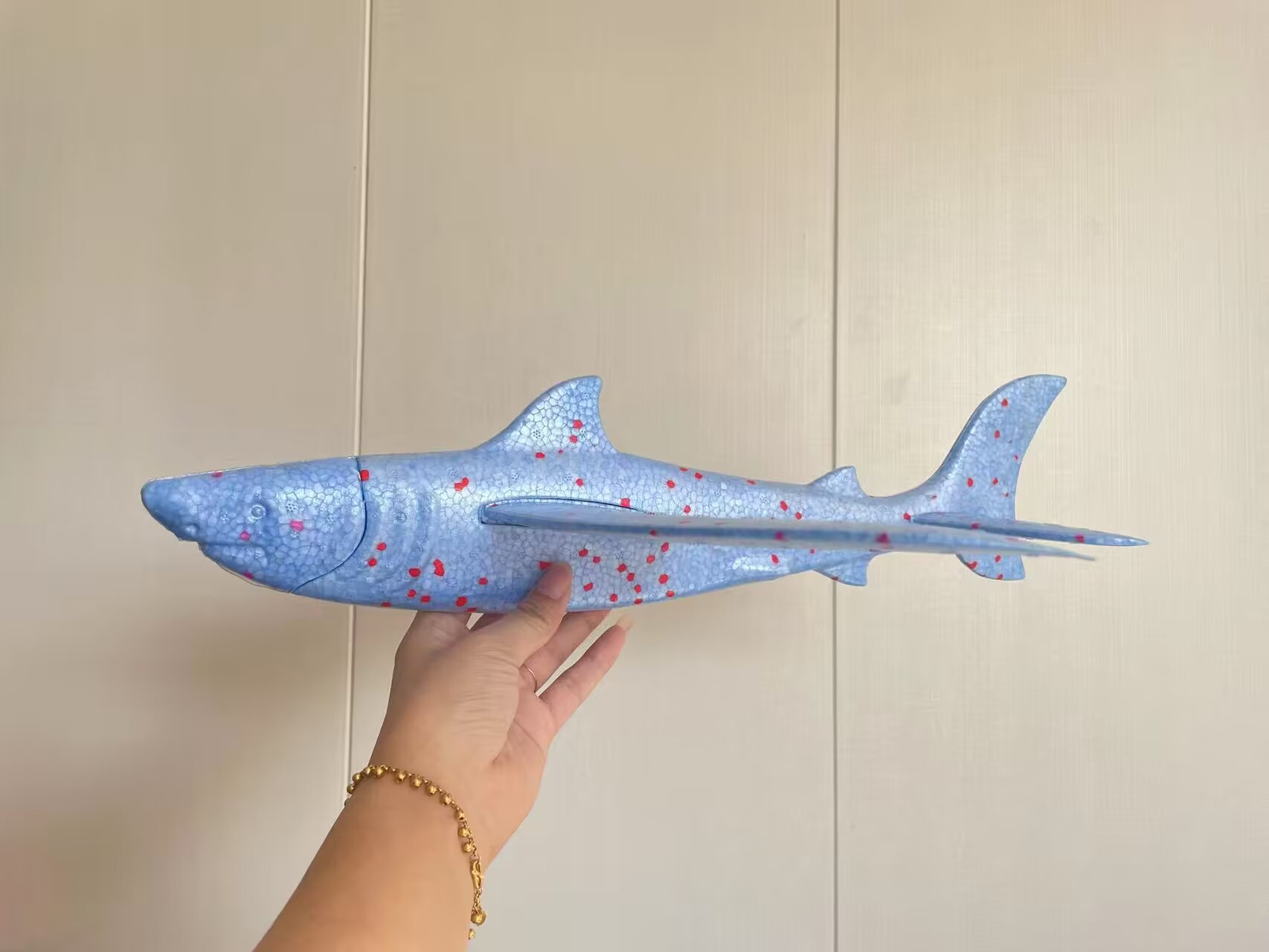 CD8F103DD9D4C521B750F5EB35EF21