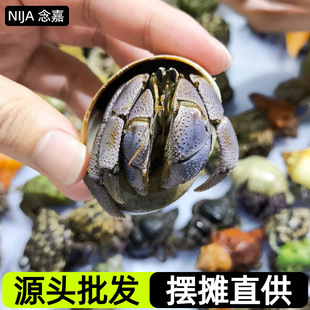 ���[��ֱ�����ľ�з�������l�W�t�[�����挙����B�ľ�з