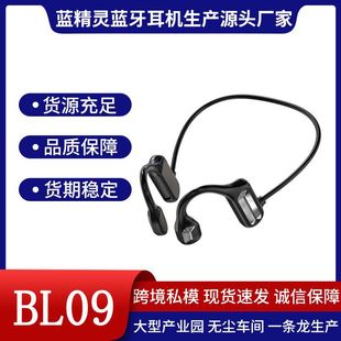 BL09�첱�{�����C �羳��� ˽ģ �¿� �\���ܲ�����\���{�����C