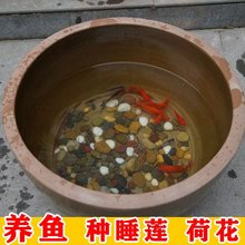 养鱼阳台陶瓷盆大号特大老式水缸泥盆鱼缸大型睡莲荷独立式庭院家