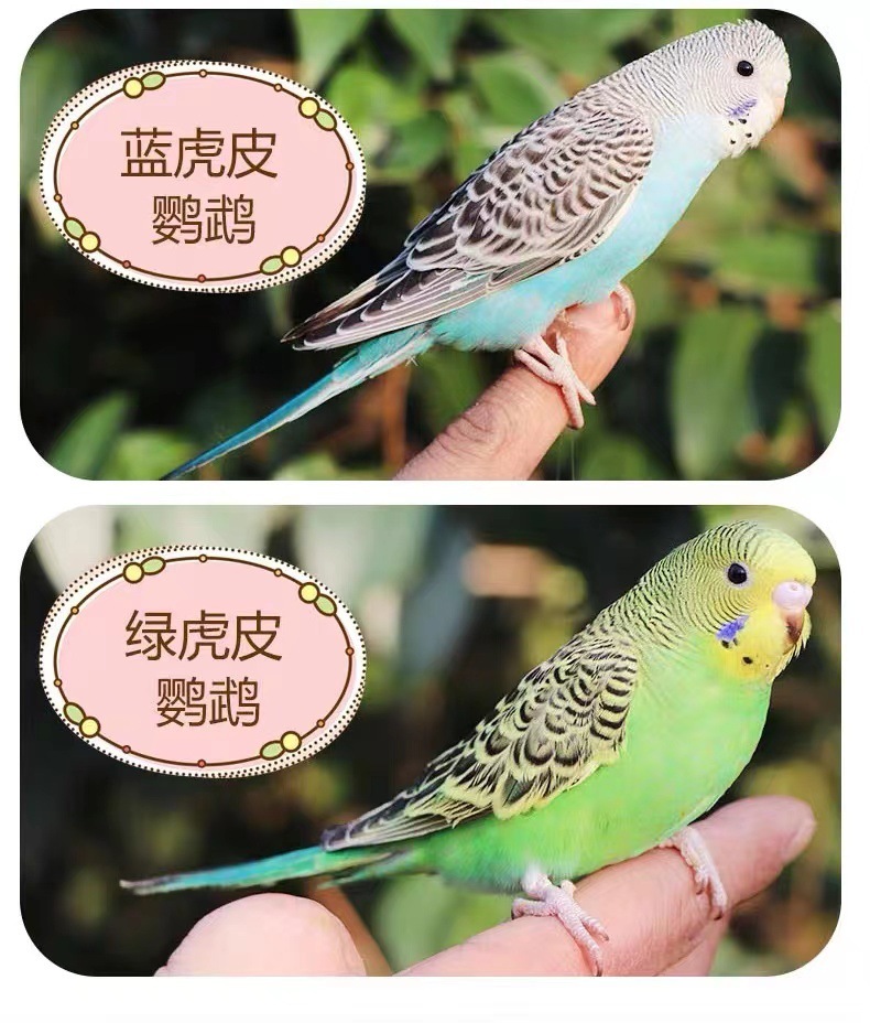 5bf6150d-4f94-48cd-a21e-4034c66dafd7.jpe