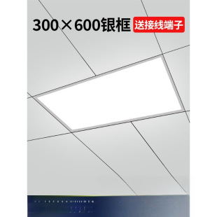 Kitchen Ceiling Light 30X60 Ceiling Aluminum Gusset Light Integrated Ceiling Light Panel Light Kitchen and Bathroom Light 300X600