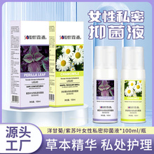 紫苏叶女性妇科泡沫免洗私处护理液洋甘菊清私密抑菌洁洗护液厂家