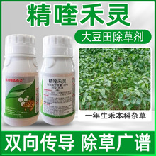 10%��୺��`���݄�������݄����������Ʒ�rș���l���l