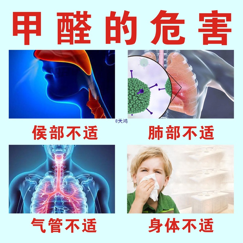 活性炭包除甲醛除异味新房装修新车家具家用竹炭包散装木炭椰壳碳