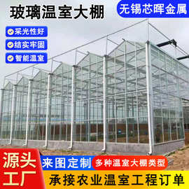 玻璃温室大棚工程出口智能连栋温室大棚展览花卉育苗温室大棚安装