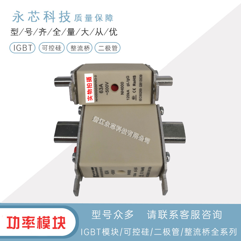 原装进口NH0GG50V80 NH0GG50V100 NH0GG50V125全新现货快速熔断器