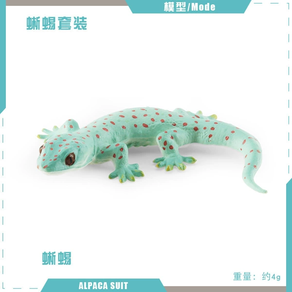 PL127-2359 Lizard 4G