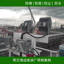 防爆灯;隧道灯具;LED防爆手电