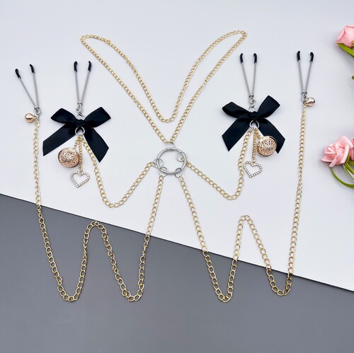 Vagina clamp, bell atmosphere, sexy underwear, nipple clamp, beaded breast ornaments, SM training and punishment, female slave torture tool A079