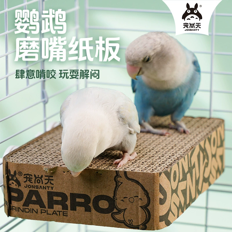 Любить попугая, шлифовальный картон, кусать и вентиляцию