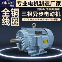 ����YE3-90L-4�O1.5KW YE3-132S-4 5.5kw160M���ஐ��늄әC380V
