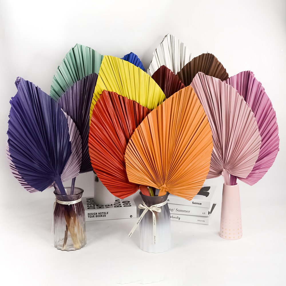 Cross-border spray paint bleached sunflower leaf Guanyin fan cattail…