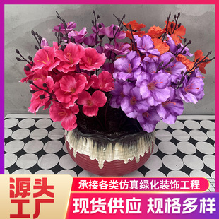 5�愦�m�����愦�m�ٻ����l��c�b��̲廨���b�[�ŷ��滨�F؛