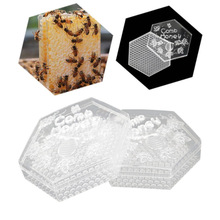 跨境热卖养蜂用巢蜜盒250g六边形巢蜜盒巢框塑料透明巢蜜盒带花纹