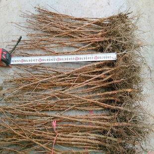 ˮɼ�������~����ɼ�tɼ����������ɼ�t���Ϸ������ʯ����]