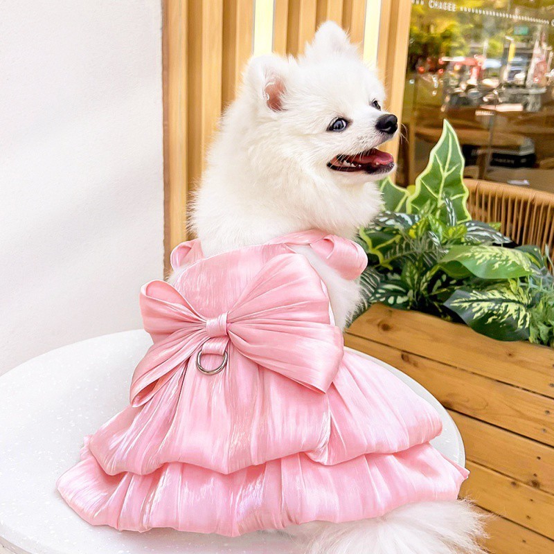 犬用リード テディ ビション フレンチ ブルドッグ 春夏ドレス 犬猫服用品 ペット ウェディングドレス 猫ドレス|undefined