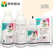 �s�� 36%���� ����~  1000g ���� ˪ù�� ��Ʒ�rș������