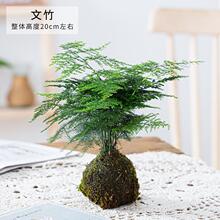 ��������̦�\��ֲ���辰�����҃ȿ͏d�k��������Gֲ�����՚���B