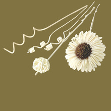 �o����޹�ٗl�]�l����֦���bsola�[���b���ˮ�U���DIY���