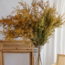 ������ǧ�ӽ�ɻ������滨�Ҿ��b�Y�����͹����������ֱ�l