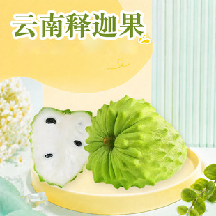 �����ȹ� һ�����l1/2/3/5��С�д�����^�����������b���rˮ��