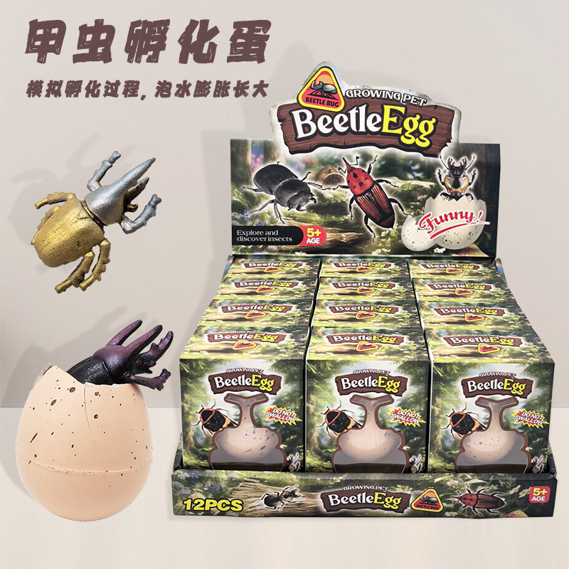 Water-soaked beetle hatches eggs, insects, rhinoceros beetle grow larger and expand – children's simulation model toy.