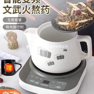 Fully Automatic Traditional Chinese Medicine Electric Decoction Pot for Home Use, Dual-Purpose Decoction Pot for Boiling Medicine and Soup, Traditional Chinese Medicine Casserole, Medicine Pot, Medicine Pot
