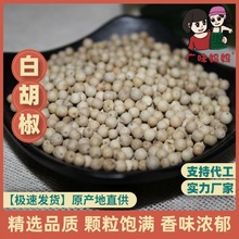 白胡椒 海南文昌白胡椒熬汤西餐烹饪香料调味料新货500g