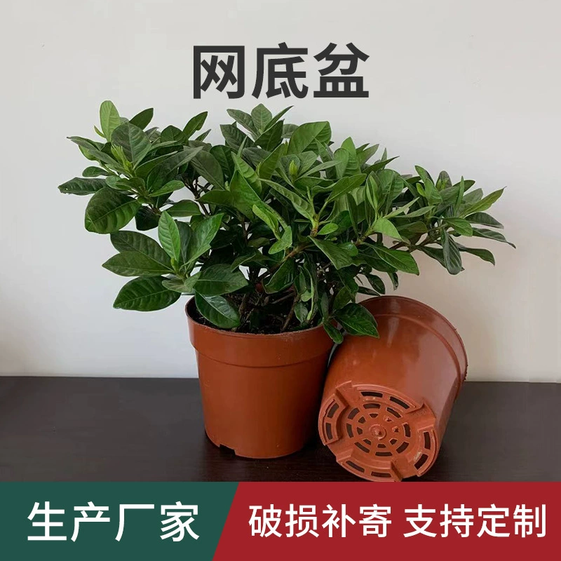 Мятный цветочный горшок Пластиковая утолщенная чашка для рассады Сетчатый нижний горшок База Питомник Простой контроль корней Зеленая посадка Жесткий дышащий контейнер