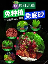 ˮ��ֲ���~������쾰���Bȫ�ה[���B�~����䁵����ˮ�������Gֲ