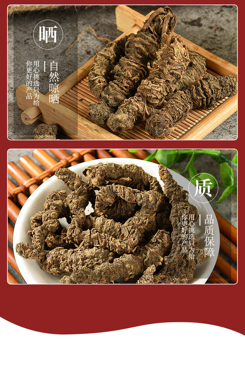 Valerian Root (Valeriana officinalis) — Dried Bulk Herb, Guang Valerian Rhizome specifications