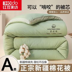红豆家纺新疆棉花被冬被加厚单人被子春秋被棉花被子被芯四季通用
