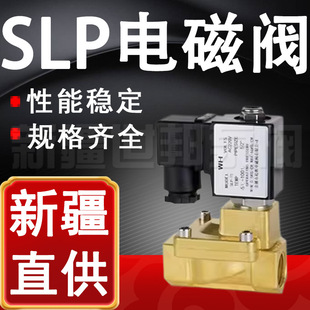 SLP늴��y 늴��y�Ȍ�ĤƬ���]ʽ�S�~늴��y �߉�늴��yDN50 100