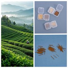 �t�蹣������ᔾG�蹣�ւ��b���ܺб�yʽ�ռ{�蹣��Ʒ�ֹ�����ʽ