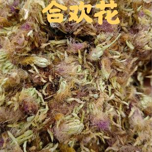 �Ϛg�� ҹ�Ϛg�ϻ軨����ș�ĺϚg�������]�����������