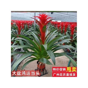 �t�\���^���辰�滨���\���^���Դ��;Gֲ�����҃��k����ˮ���P��