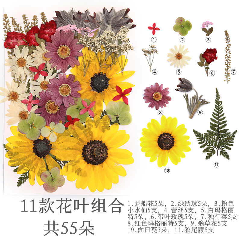 70 해바라기 정원