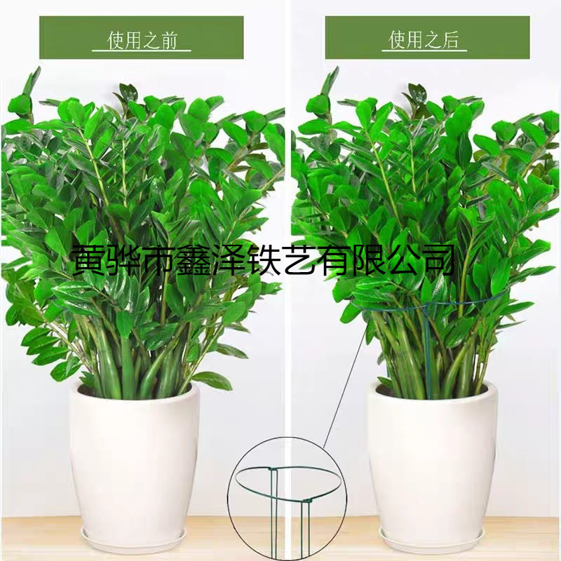 花撑支架阳台龟背竹半圆形花架弧形半圆支撑杆爬藤植物花盆支杆