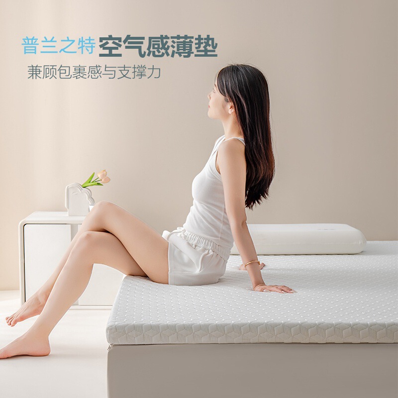 Memory Foam Thin Mattress Pad, Soft Cushion, Single Tatami Mat, Student Dormitory Mattress, Rental Apartment
