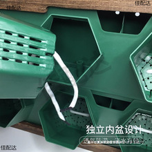 立体多层墙上创意相框挂墙挂壁绿萝花架自吸水免打孔水培壁挂花盆