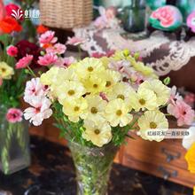 �M�ں�����ëݢ�N����������~��ĵ��ͥԺ�̨�����Ե������