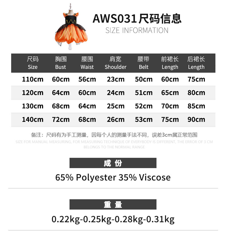 AWS031