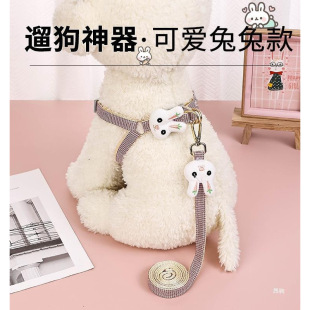 Dog and Cat Leash Small Size Dogs Teddy Bichon Pomeranian Harness Puppy Puppy Walking Cat Rope Dog Chain