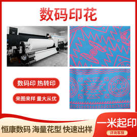 厂家时尚服装运动服羽绒服沙滩裤涤纶面料各种花型数码印花加工