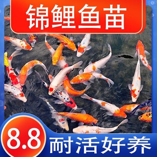 �\���^�p�~����ˮ���w�ûˮ�ͺ������Lˮ�~�~����~С�\������