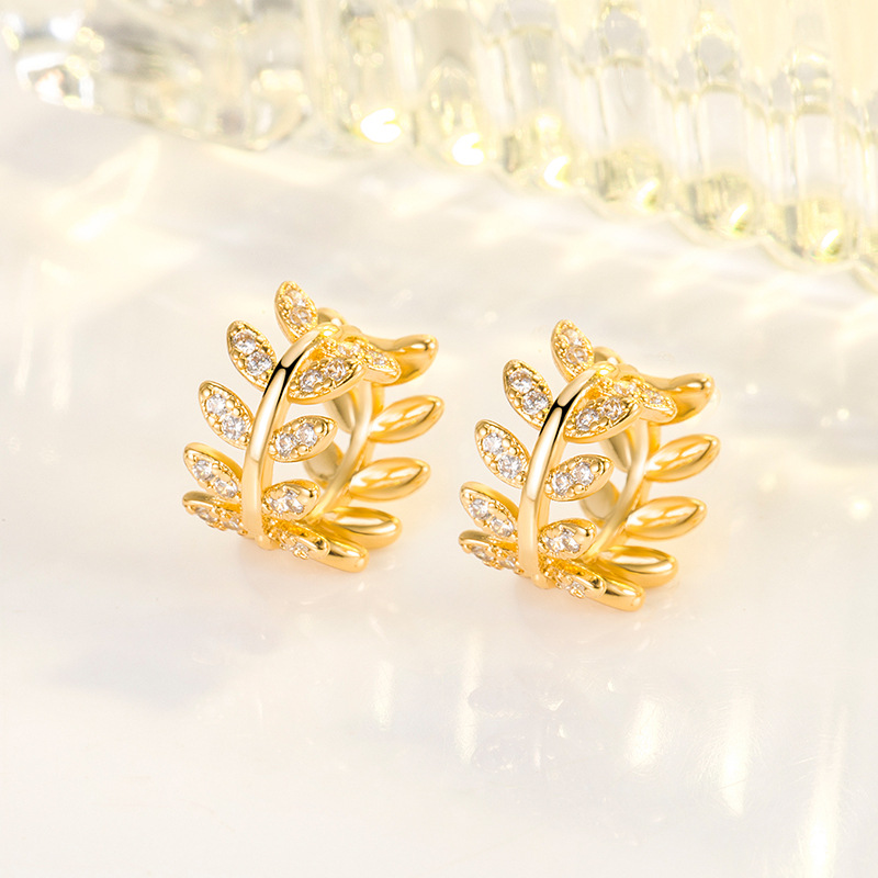 earrings with zircon