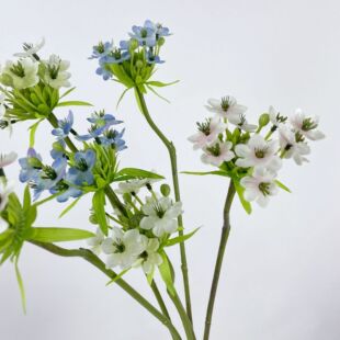 ���Z�q ���沮���a֮�� �Ҿ��bٻ�С����ϵ�������������Sֱ�N