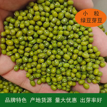 ӯS¼ZF؛alѿСGСGѿѿ˷N50