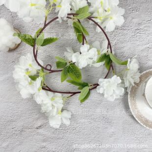 �ѻ��ٗl�滨���滨�ڒ�ٻ���cܛ�b�ܵ������������Ø����ړ���